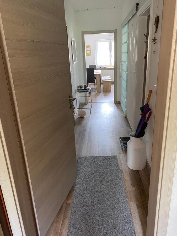 ترويشتلينغن Ferienwohnung Zur Roni المظهر الخارجي الصورة